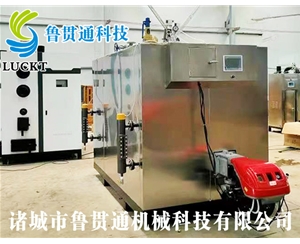 1噸燃?xì)猓ㄓ停┱羝l(fā)生器 現(xiàn)貨供應(yīng)，工廠直銷，規(guī)格型號眾多，可來電咨詢