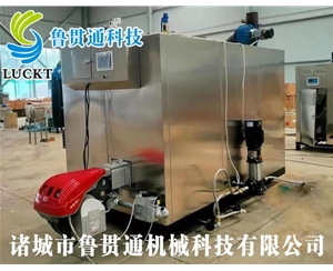 1噸燃?xì)猓ㄓ停┱羝l(fā)生器 現(xiàn)貨供應(yīng)，工廠直銷，規(guī)格型號眾多，可來電咨詢